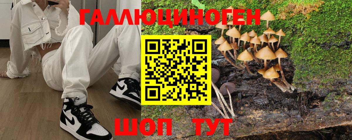 Галлюциногенные грибы GOLDEN TEACHER Абакан