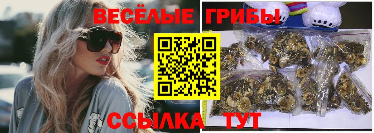 Абакан  Псилоцибиновые грибы GOLDEN TEACHER  Псилоцибиновые грибы мицелий  Вход с VPN 