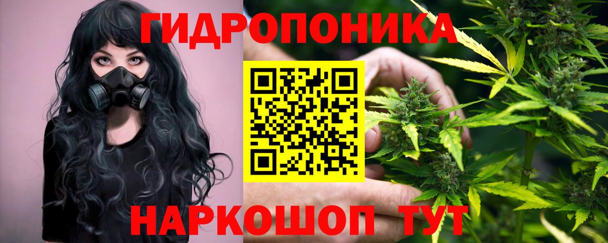 Бошки марихуана Bruce Banner Абакан